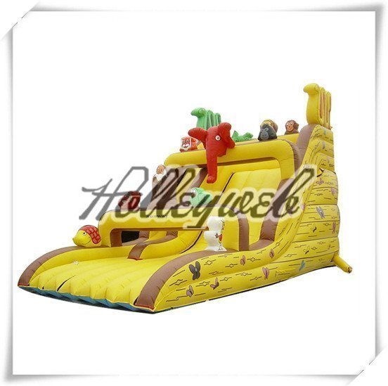 Giant Inflatable Water Slide For Kids And Adults