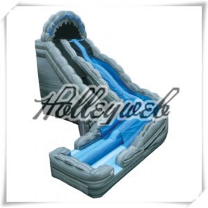 Summer Splash Wet or Dry Water inflatable Slide