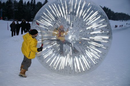 The Travel Of The Human Hamster Ball The Travel Of The Human Hamster Ball